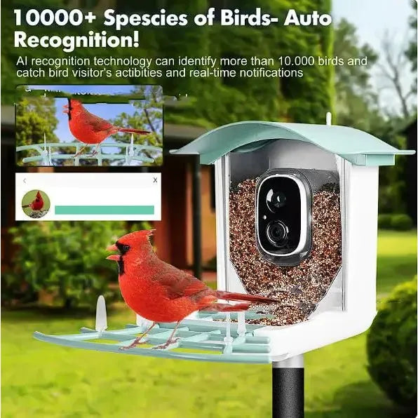 Solar - Powered Waterproof Bird Feeder with Camera - householdessential